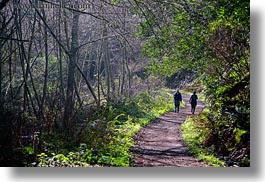 bear valley trail, california, forests, hikers, horizontal, marin, marin county, nature, north bay, northern california, paths, plants, trees, west coast, western usa, photograph