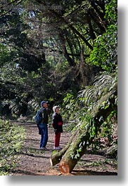 bear valley trail, california, forests, hikers, marin, marin county, nature, north bay, northern california, paths, plants, trees, vertical, west coast, western usa, photograph