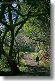 images/California/Marin/PtReyes/BearValleyTrail/Hikers/hikers-on-path-07.jpg