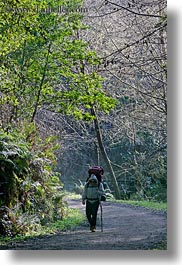 bear valley trail, california, forests, hikers, marin, marin county, nature, north bay, northern california, paths, plants, trees, vertical, west coast, western usa, photograph