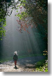 images/California/Marin/PtReyes/BearValleyTrail/Hikers/sunbeams-n-hiker-2.jpg