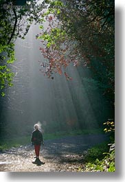 bear valley trail, california, forests, hikers, marin, marin county, nature, north bay, northern california, people, plants, sky, sun, sunbeams, tree tunnel, trees, vertical, west coast, western usa, womens, photograph