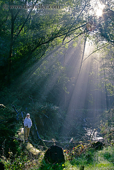 sunbeams-n-hiker-3.jpg