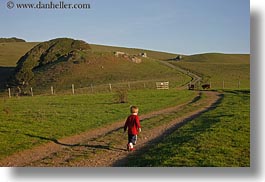 along, california, green, hills, horizontal, marin, marin county, nature, north bay, northern california, olema, paths, scenics, walking, west coast, western usa, photograph