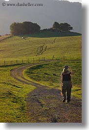 along, california, green, hills, marin, marin county, nature, north bay, northern california, olema, paths, scenics, vertical, walking, west coast, western usa, photograph