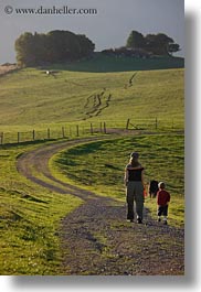 along, california, green, hills, marin, marin county, nature, north bay, northern california, olema, paths, scenics, vertical, walking, west coast, western usa, photograph