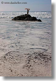 beaches, california, jack jill, jills, marin, marin county, north bay, northern california, ocean, people, scarves, vertical, west coast, western usa, photograph