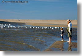 beaches, california, horizontal, jack and jill, jack jill, marin, marin county, north bay, northern california, people, seagulls, west coast, western usa, photograph