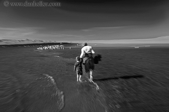 jnj-n-seagulls-02-bw.jpg