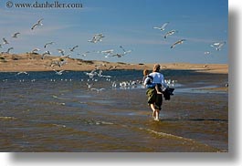 beaches, california, horizontal, jack and jill, jack jill, marin, marin county, north bay, northern california, people, seagulls, west coast, western usa, photograph