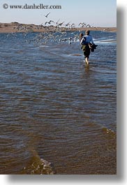 beaches, california, jack and jill, jack jill, marin, marin county, north bay, northern california, people, seagulls, vertical, west coast, western usa, photograph