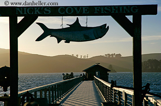 nicks-cove-fish-sign-n-pier.jpg