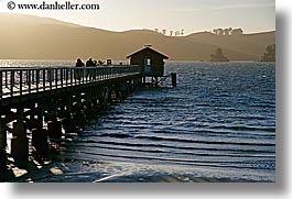 bay, california, cove, horizontal, marin, marin county, nature, nicks, nicks cove, north bay, northern california, piers, tomales bay, water, west coast, western usa, photograph