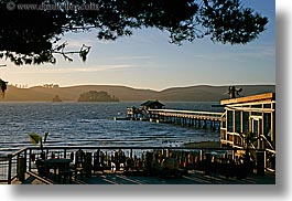 bay, california, cove, horizontal, marin, marin county, nature, nicks, nicks cove, north bay, northern california, piers, tomales bay, water, west coast, western usa, photograph