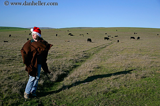 jill-in-santa-hat-w-cows-3.jpg
