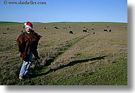 animals, california, christmas, colors, cows, events, green, hats, horizontal, jills, marin, marin county, north bay, northern california, people, santa, tomales bay, west coast, western usa, womens, photograph