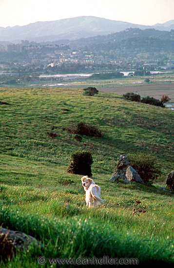 ring-mountain-sammy.jpg