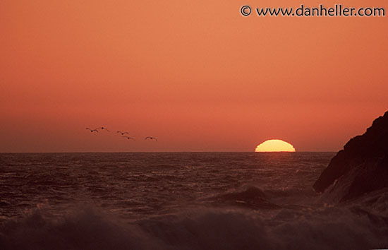 sunset-seagulls.jpg