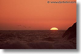 california, horizontal, marin, marin county, north bay, northern california, rodeo beach, san francisco bay area, seagulls, sunsets, west coast, western usa, photograph