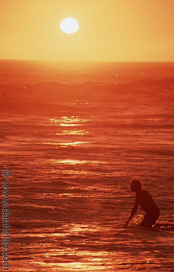 Sunset Swim