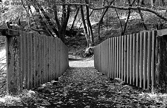 bridge-n-wood-planks-bw.jpg