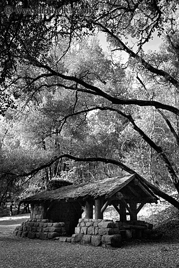 stone-n-wood-hut-n-branches-bw-04.jpg