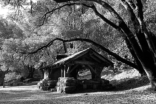 stone-n-wood-hut-n-branches-bw-07.jpg