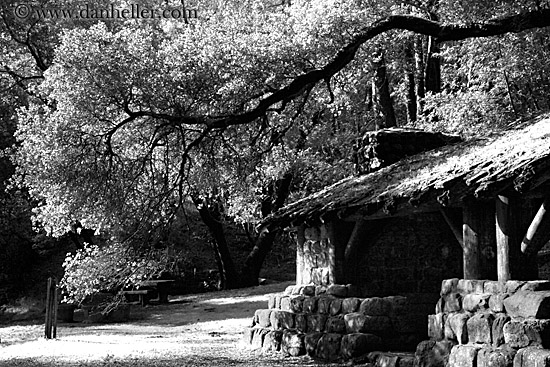 stone-n-wood-hut-n-branches-bw-08.jpg