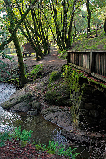 bridge-n-stream-n-trees-1.jpg