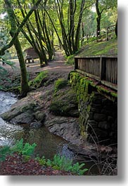 images/California/Marin/Ross/PhoenixLakePark/bridge-n-stream-n-trees-1.jpg