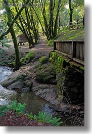 bridge, california, colors, forests, green, lush, marin, marin county, nature, north bay, northern california, phoenix lake park, plants, ross, scenics, stream, trees, vertical, west coast, western usa, photograph