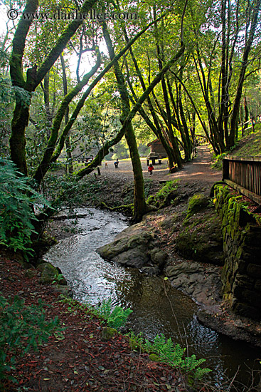 bridge-n-stream-n-trees-2.jpg