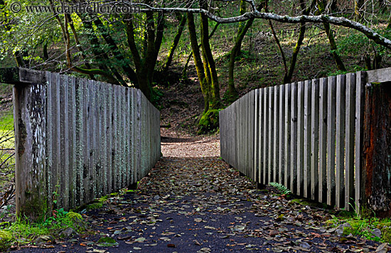 bridge-w-wood-planks.jpg