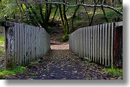 bridge, california, colors, forests, green, horizontal, marin, marin county, nature, north bay, northern california, phoenix lake park, planks, plants, ross, scenics, trees, west coast, western usa, woods, photograph