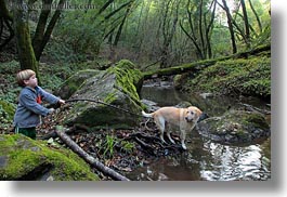 animals, bens, boys, california, childrens, colors, dogs, forests, green, horizontal, jacks, labrador, lush, marin, marin county, nature, north bay, northern california, people, phoenix lake park, plants, ross, scenics, trees, west coast, western usa, photograph