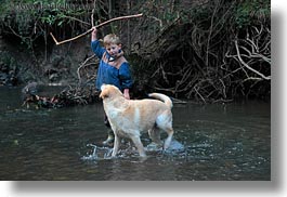 animals, bens, boys, california, childrens, dogs, forests, horizontal, kyle, labrador, marin, marin county, nature, north bay, northern california, people, phoenix lake park, plants, ross, scenics, trees, west coast, western usa, photograph