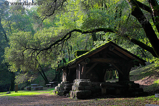 stone-n-wood-hut-w-arching-branches-3.jpg