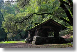 arching, branches, buildings, california, colors, forests, green, horizontal, huts, lush, marin, marin county, nature, north bay, northern california, phoenix lake park, plants, ross, scenics, stones, structures, trees, west coast, western usa, woods, photograph