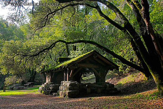 stone-n-wood-hut-w-arching-branches-4.jpg