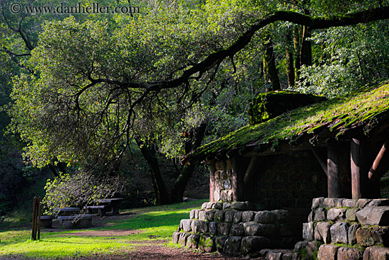 stone-n-wood-hut-w-arching-branches-5.jpg