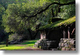 arching, branches, buildings, california, colors, forests, green, horizontal, huts, lush, marin, marin county, nature, north bay, northern california, phoenix lake park, plants, ross, scenics, stones, structures, trees, west coast, western usa, woods, photograph