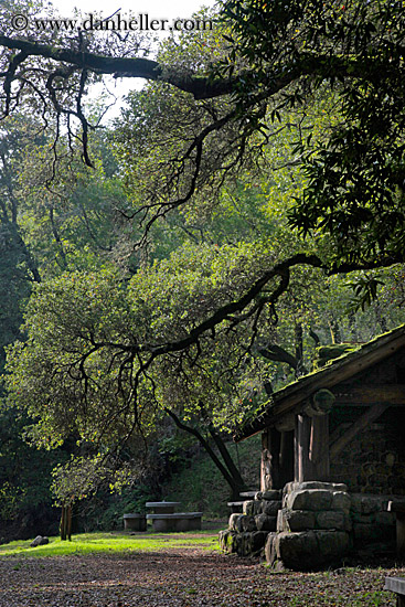 stone-n-wood-hut-w-arching-branches-6.jpg