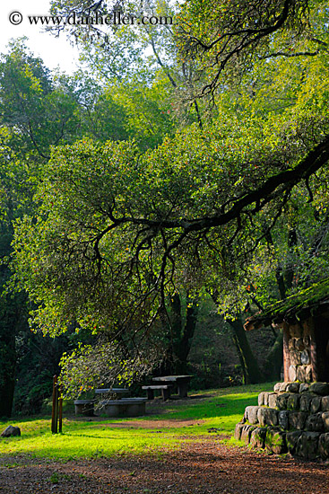 stone-n-wood-hut-w-arching-branches-7.jpg