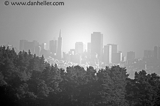 sf-view-w-trees-bw.jpg