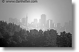 images/California/Marin/SF-Views/sf-view-w-trees-bw.jpg