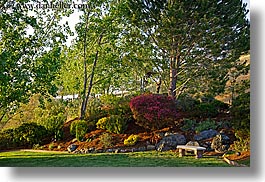 california, exteriors, gardens, horizontal, marin, marin county, north bay, northern california, san anselmo, tomahawk, west coast, western usa, photograph