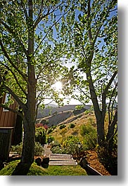 california, exteriors, marin, marin county, north bay, northern california, outside, san anselmo, stairs, tomahawk, vertical, west coast, western usa, photograph