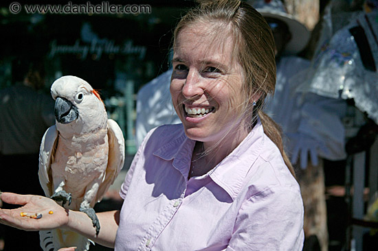 jill-n-cockatoo.jpg