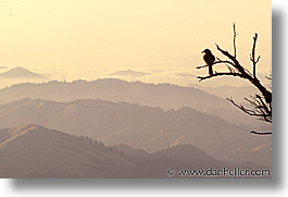 images/California/Marin/Scenics/bird-view.jpg