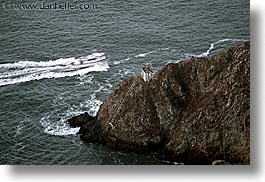 boats, california, coastline, horizontal, marin, marin county, north bay, northern california, pacific ocean, san francisco bay area, scenics, shoreline, speed, water, west coast, western usa, photograph